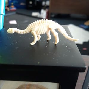 Meet your Posher, Alisha